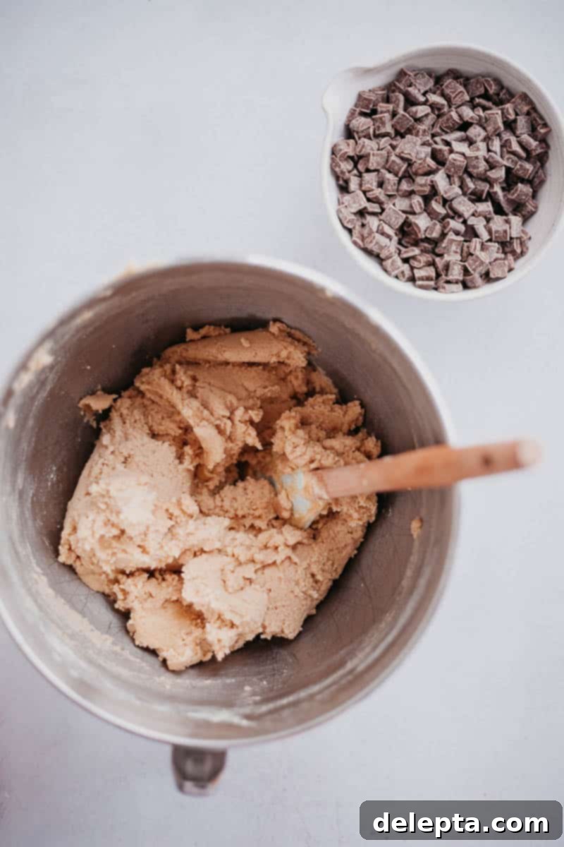 Chocolate Brownie Cookie Dough Fudge Cake 10 Picture of cookie dough in a mixing bowl and a small bowl of chocolate chips