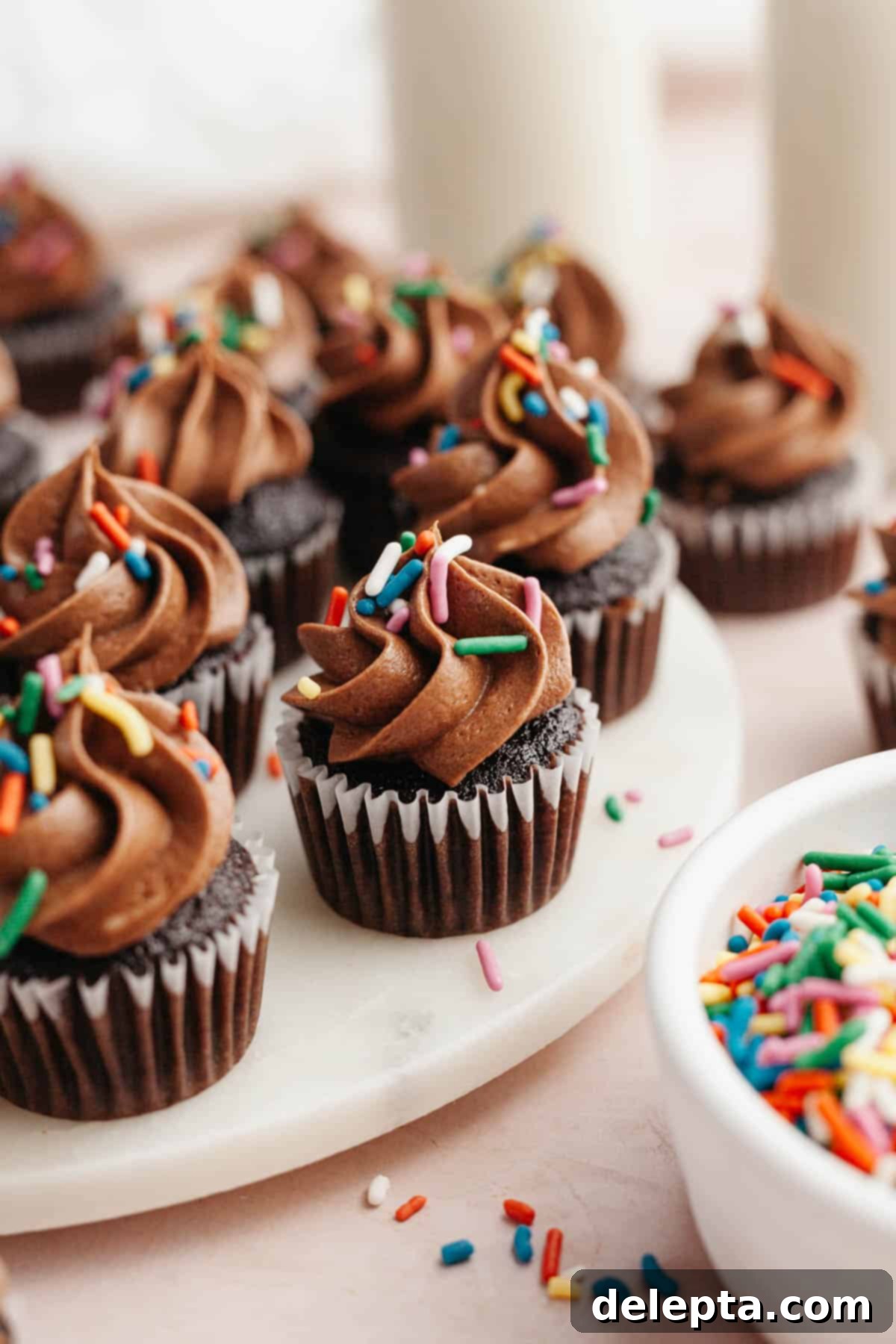 Irresistible Mini Chocolate Cupcakes: Effortlessly Moist Perfection 2 Mini chocolate cupcakes topped with chocolate frosting and rainbow sprinkles.