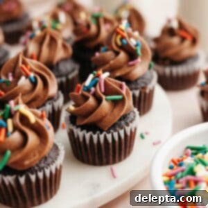 Irresistible Mini Chocolate Cupcakes: Effortlessly Moist Perfection 12 Mini chocolate cupcakes topped with chocolate frosting and rainbow sprinkles.