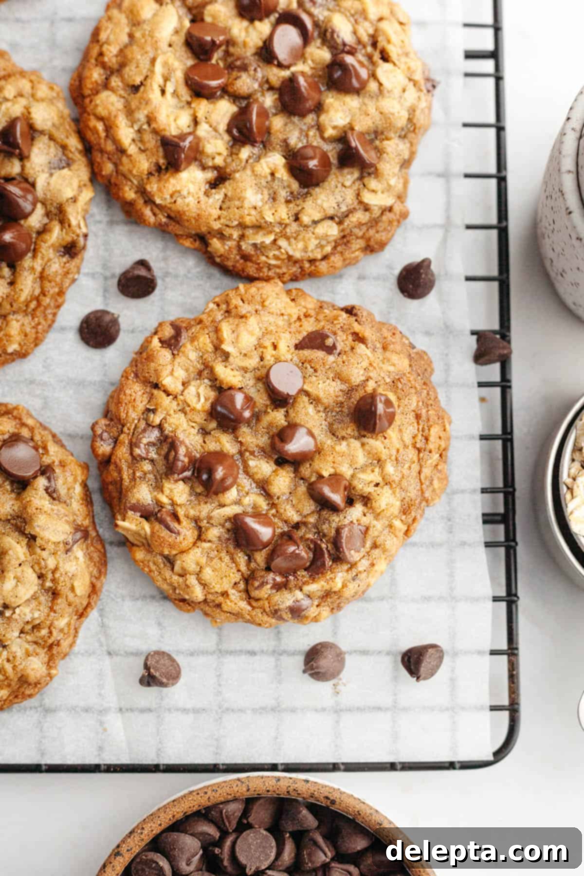 Irresistible Chewy Brown Butter Oatmeal Chocolate Chip Cookies 10 Oatmeal brown butter cookies with chocolate chips cooling on a wire rack, showcasing their perfect round shape and golden edges.