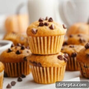 Cozy Mini Pumpkin Chocolate Chip Muffins 10 A stack of two mini pumpkin muffins, showcasing their fluffy texture and mini chocolate chips.