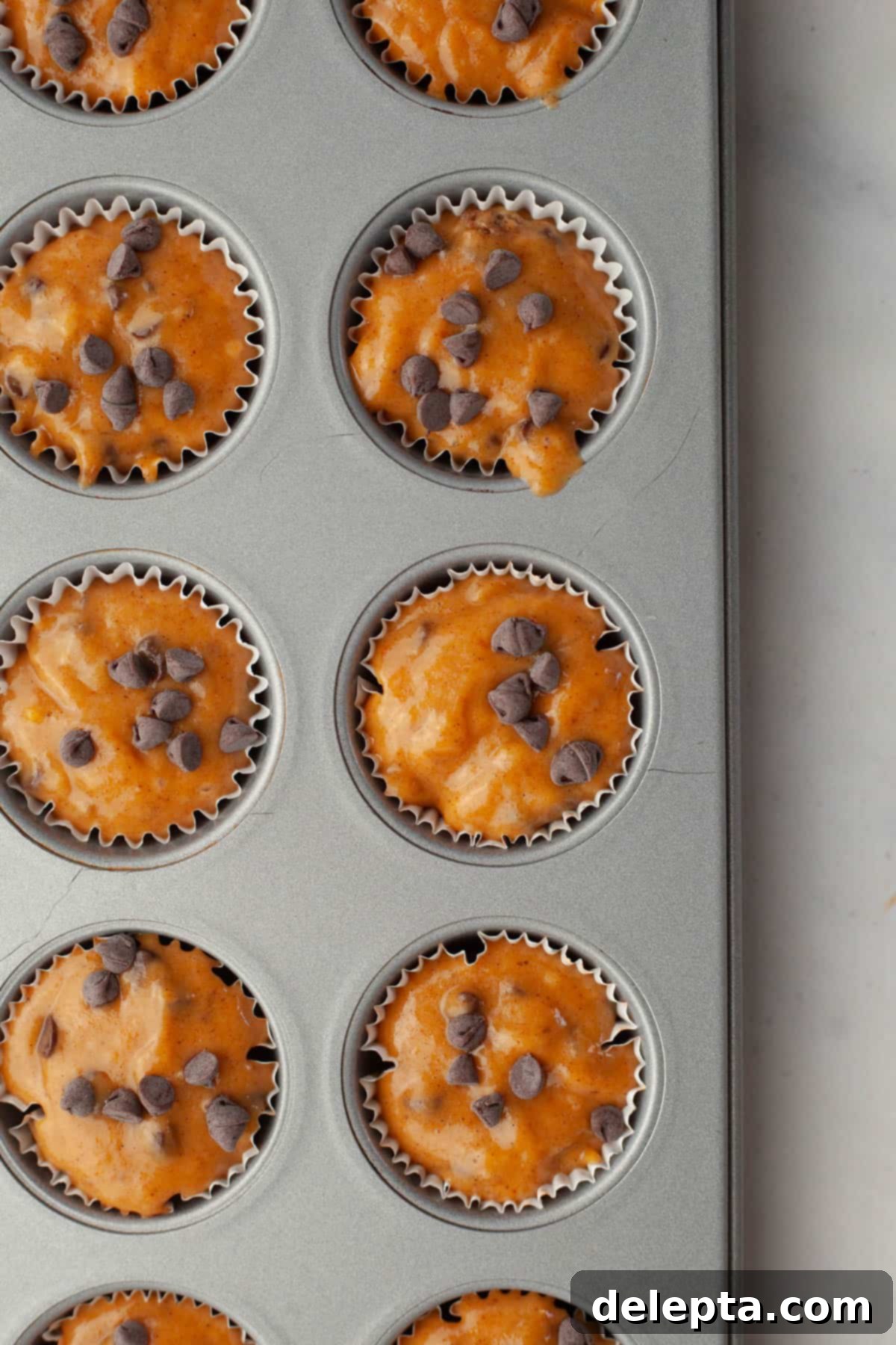 Cozy Mini Pumpkin Chocolate Chip Muffins 7 A close-up view of unbaked mini pumpkin muffins nestled in their paper liners, generously topped with mini chocolate chips.