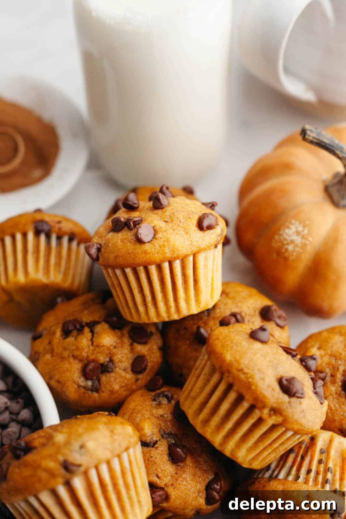 Cozy Mini Pumpkin Chocolate Chip Muffins 8 A whole batch of delicious mini pumpkin muffins, brimming with mini chocolate chips, arranged artfully.