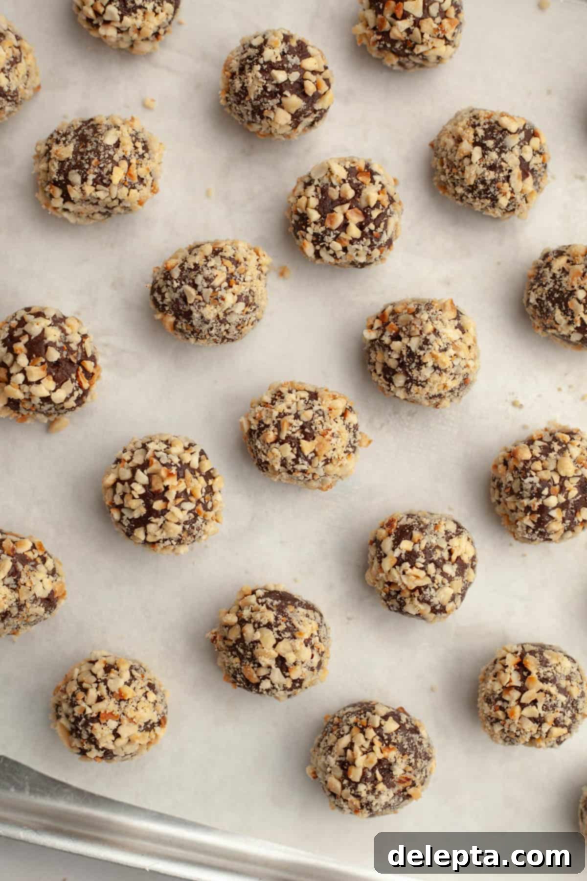 Double Nutella Bliss: Easy Thumbprint Cookies with Ganache 8 Chocolate cookie dough balls rolled in finely chopped hazelnuts on a parchment-lined baking sheet.
