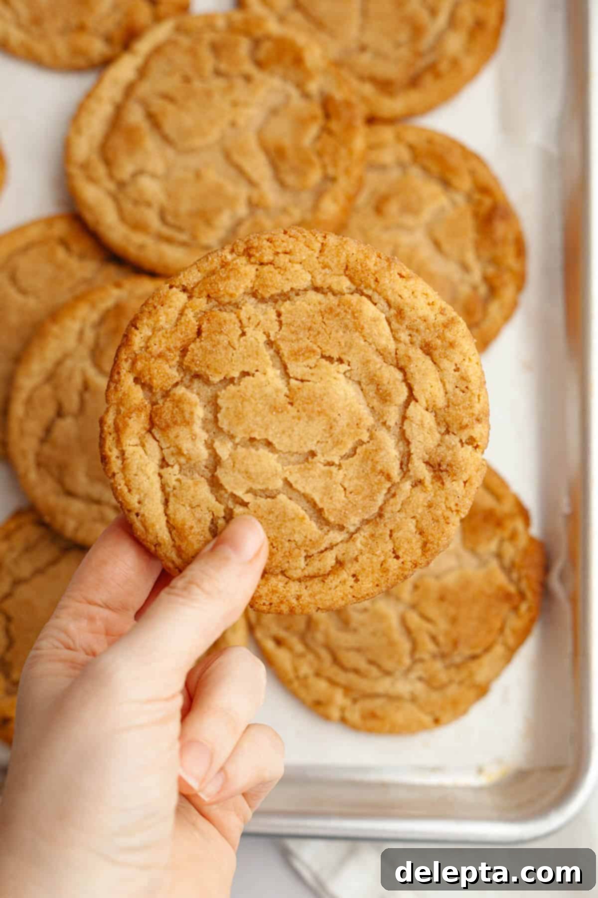 Peanut Butter Snickerdoodle Bliss 2 A hand holding a perfect, soft, and chewy peanut butter snickerdoodle cookie, showing its delicious texture and cinnamon-sugar coating.