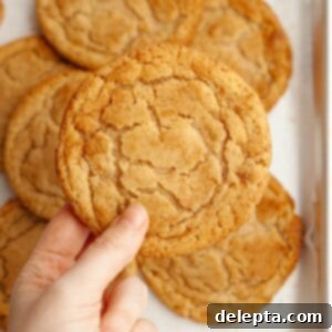 Peanut Butter Snickerdoodle Bliss 12 A hand holding a peanut butter snickerdoodle cookie.