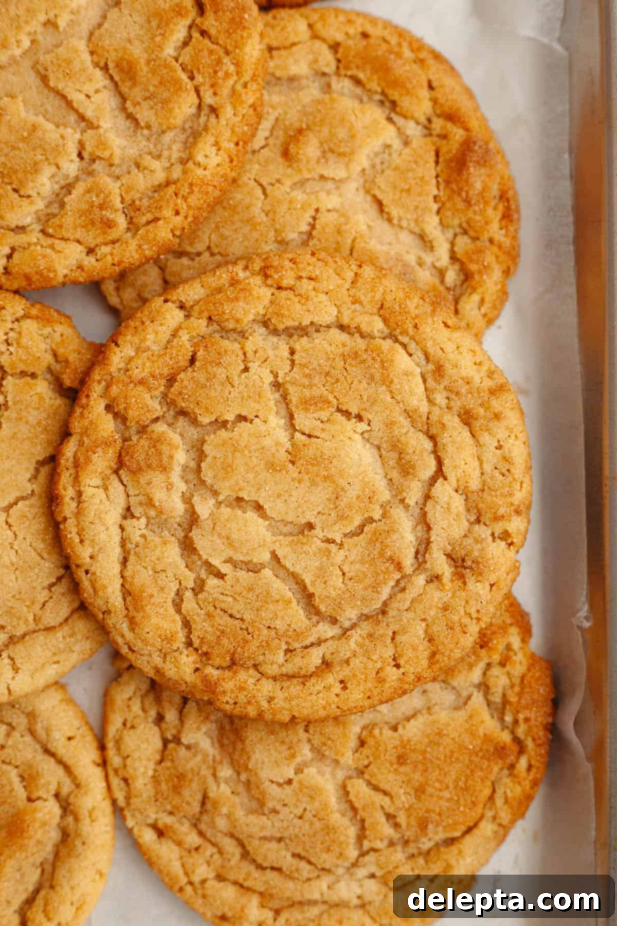 Peanut Butter Snickerdoodle Bliss 9 Freshly baked peanut butter snickerdoodles cooling on parchment paper on a baking sheet, showing their signature cracked tops.