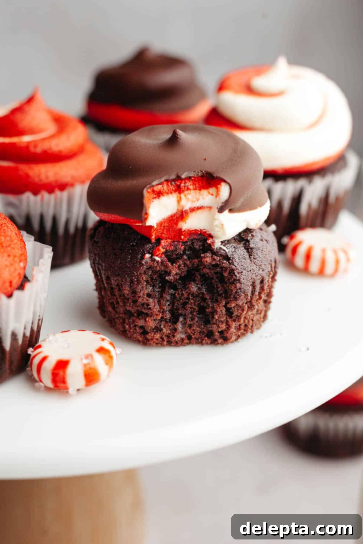 Peppermint Chocolate Dream Cupcakes 13 Chocolate cupcakes with red and white swirled frosting, some cupcakes have a chocolate hi-hat, one has a bite taken out of it, revealing the moist cake inside.