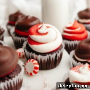Peppermint Chocolate Dream Cupcakes 14 Chocolate peppermint cupcakes with red and white swirled frosting and a chocolate hi-hat.
