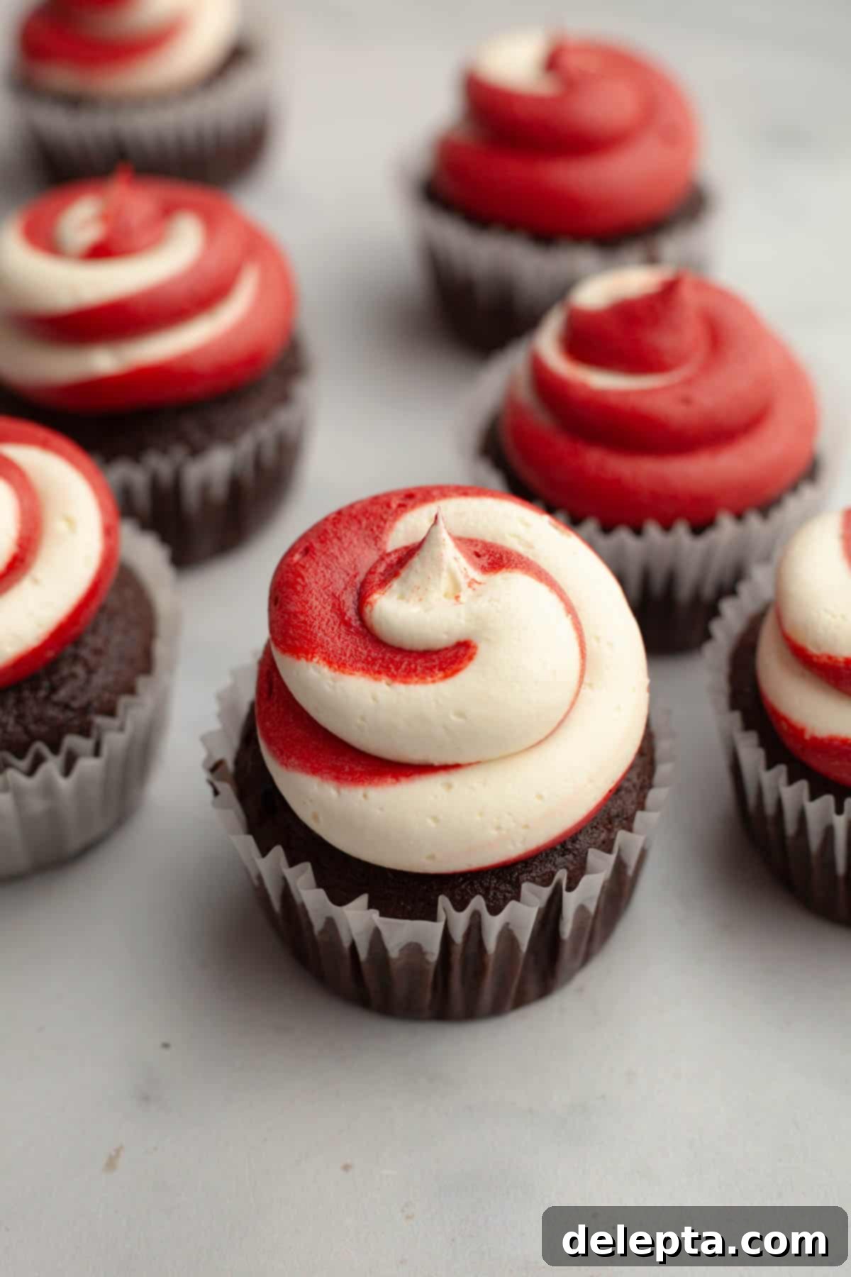 Peppermint Chocolate Dream Cupcakes 10 Chocolate cupcakes beautifully frosted with red and white swirled icing, ready for their final touch.