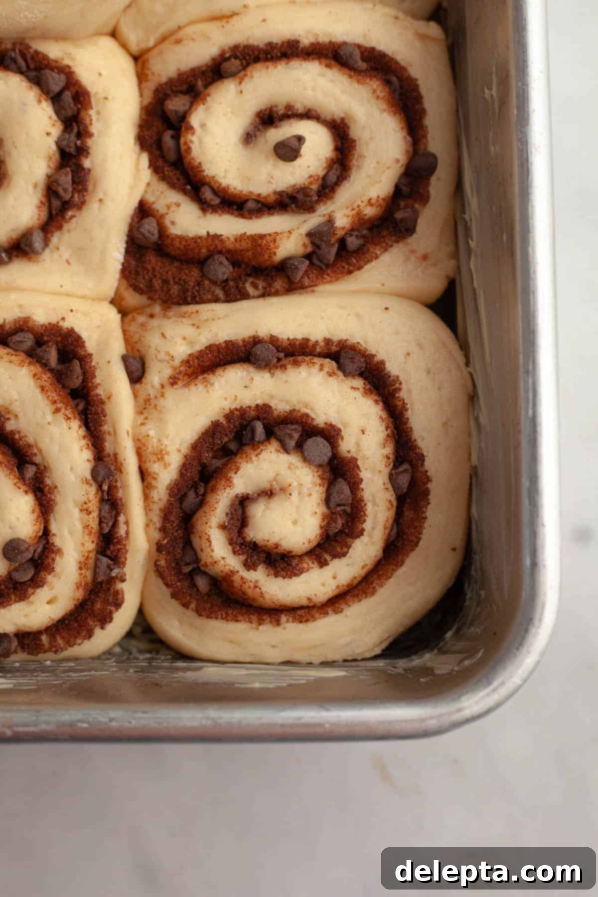 Decadent Double Chocolate Cinnamon Swirls 11 Golden-brown, freshly baked chocolate chip cinnamon rolls are shown in a white baking pan, having just come out of the oven.