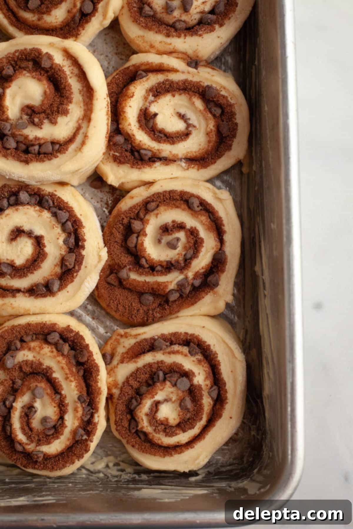 Decadent Double Chocolate Cinnamon Swirls 10 Unbaked chocolate chip cinnamon rolls are arranged snugly in a white rectangular baking dish, ready for their second rise.