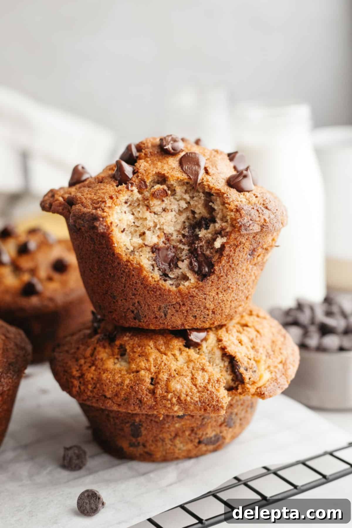 Bakery Style Jumbo Banana Chocolate Chip Muffins 2 A close up of two jumbo chocolate chip banana muffins stacked on top of each other, the muffin on top has a bite taken out of it, showcasing its moist interior.