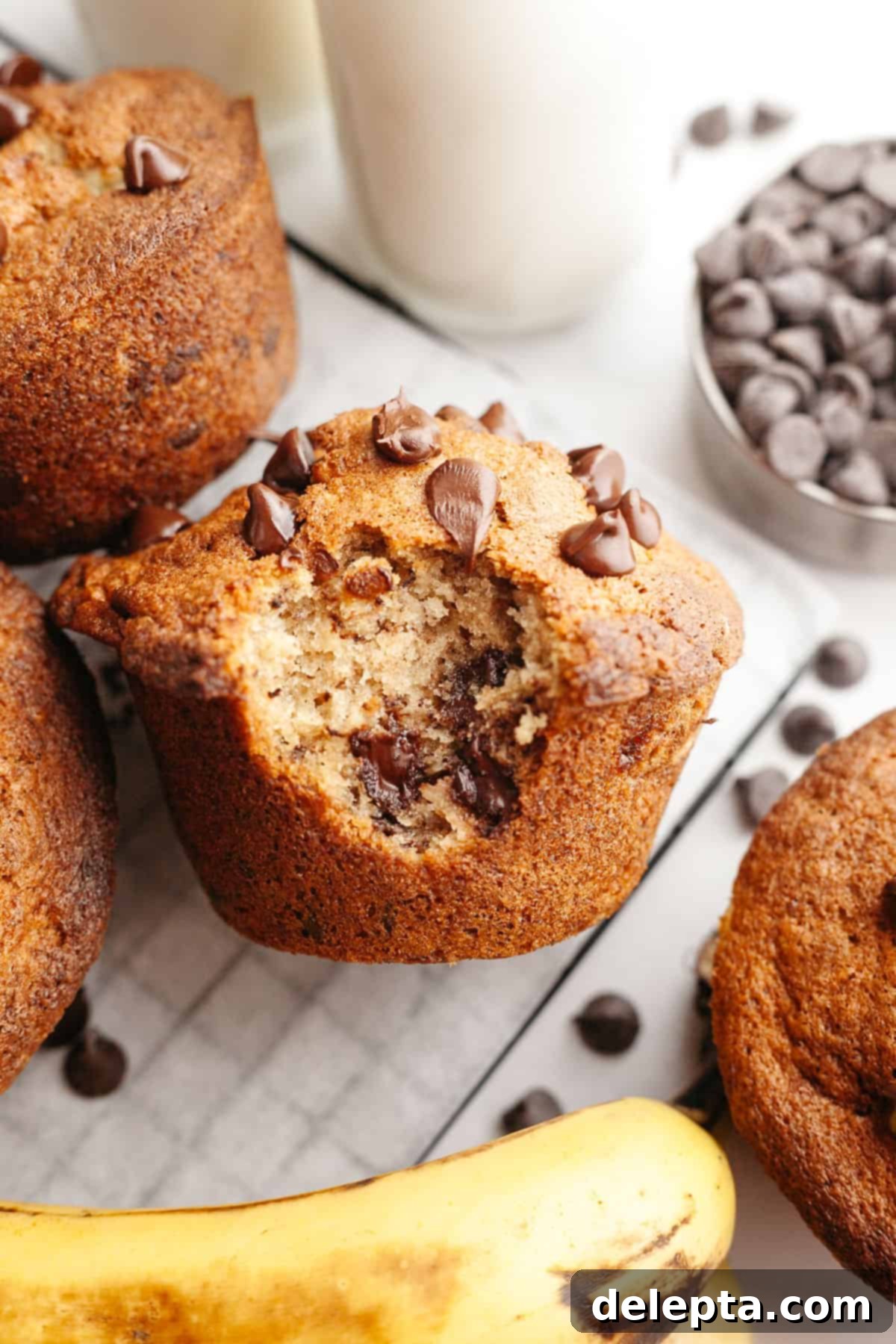 Bakery Style Jumbo Banana Chocolate Chip Muffins 11 A close up of a jumbo banana chocolate chip muffin with a bite taken out of it, showing the soft interior and melted chocolate chips.