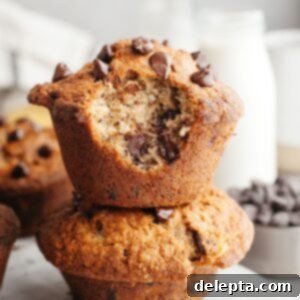 Bakery Style Jumbo Banana Chocolate Chip Muffins 12 Two jumbo chocolate chip banana muffins stacked, one with a bite taken out.