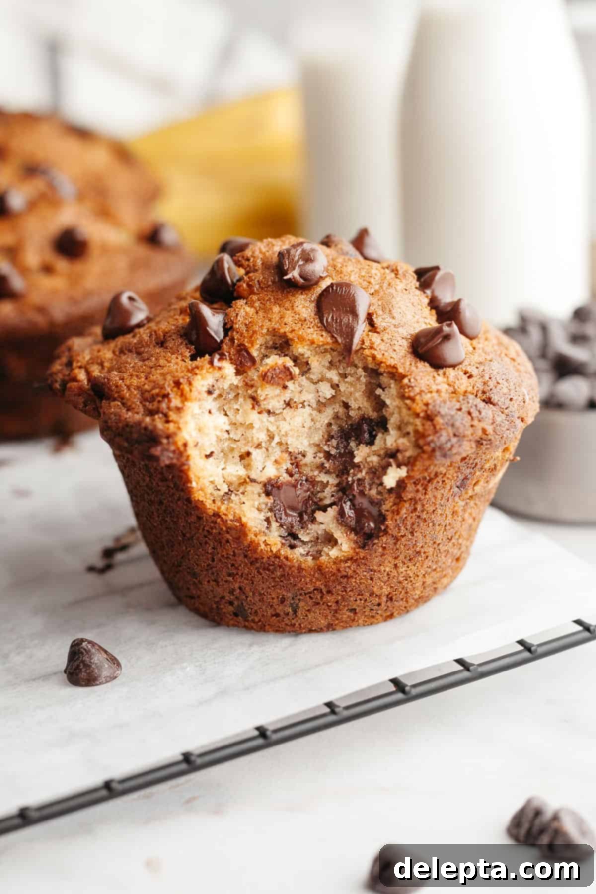 Bakery Style Jumbo Banana Chocolate Chip Muffins 10 A close up of a jumbo banana chocolate chip muffin with a bite taken out of it, revealing its fluffy, moist texture.