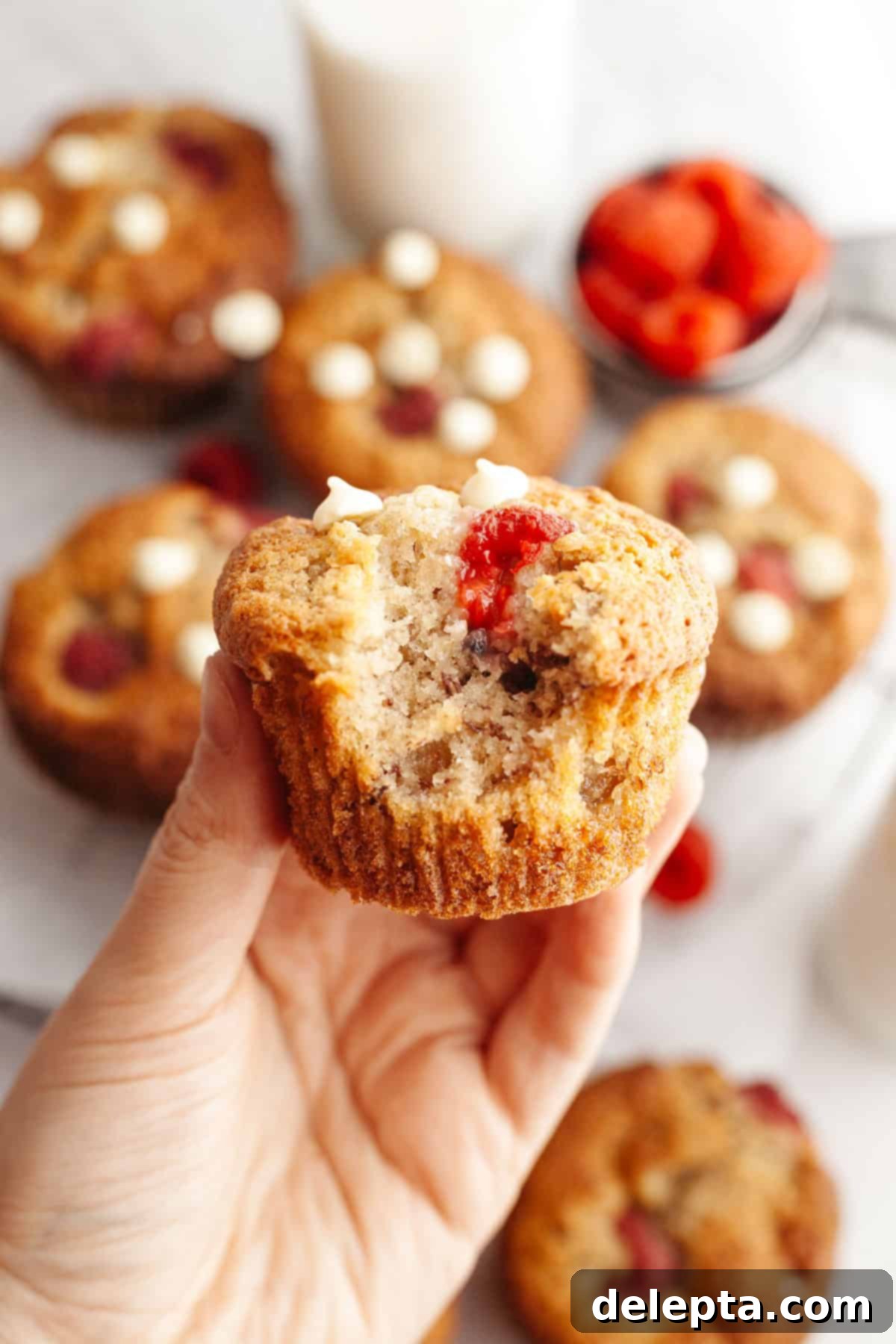 Effortless Banana Raspberry White Chocolate Chip Muffins 9 A hand holding a freshly baked raspberry banana muffin with melted white chocolate chips, with a bite taken out of it, showcasing the fluffy interior.