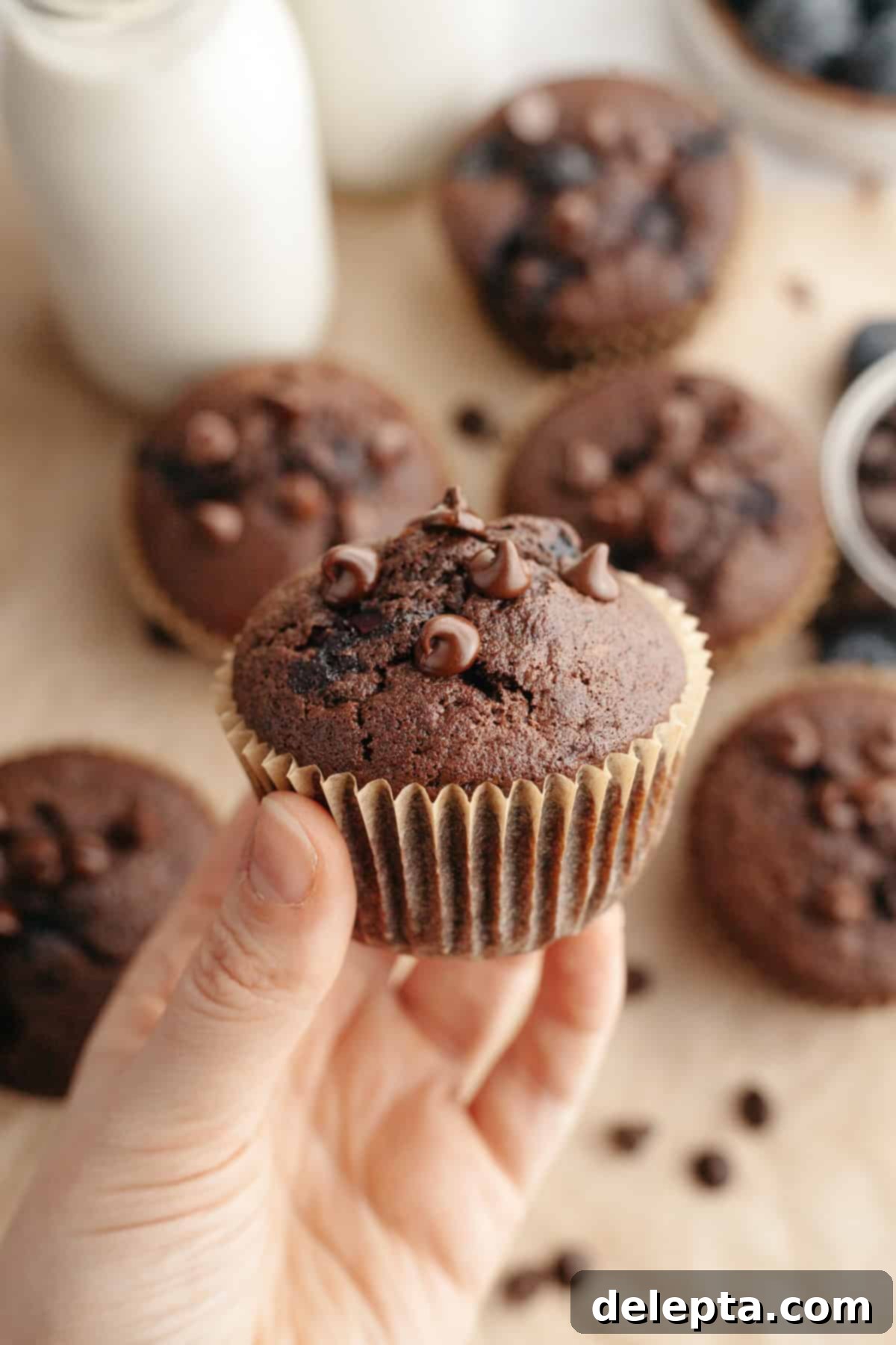 Decadent Blueberry Chocolate Sour Cream Muffins 8 A hand gently holding a freshly baked, warm blueberry chocolate muffin, showcasing its moist interior, rich color, and visible blueberries and chocolate chips.
