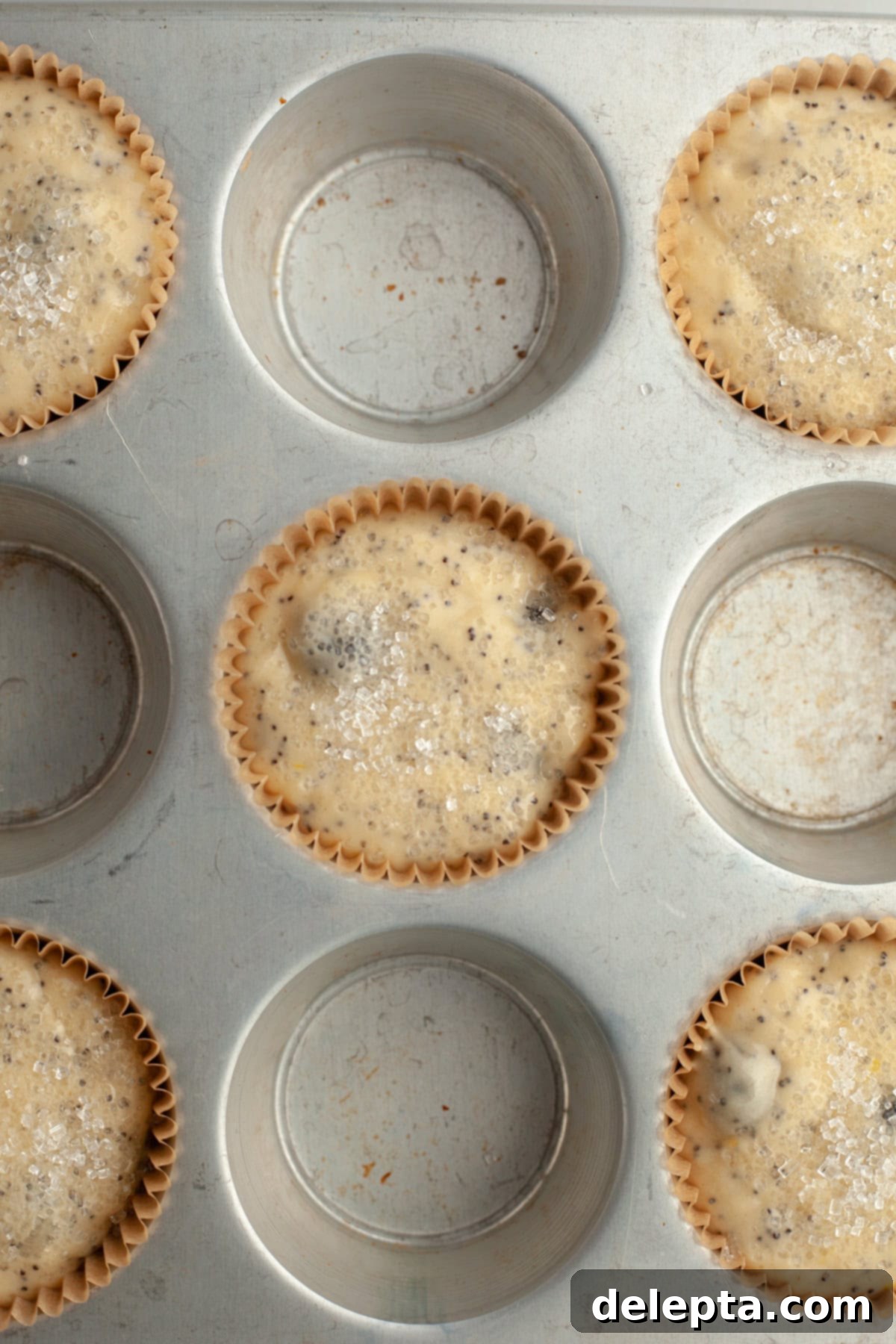Sunny Lemon Blueberry Poppy Seed Muffins One Bowl Delight 7 Unbaked lemon blueberry poppy seed muffins in a muffin pan, filling every other cavity.