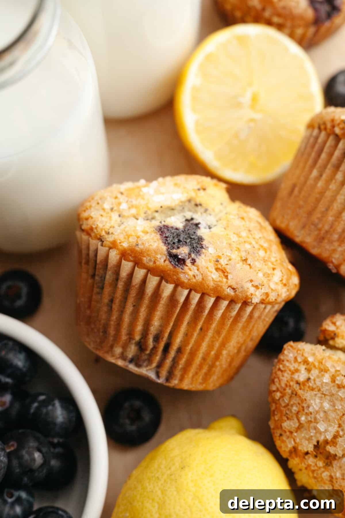Sunny Lemon Blueberry Poppy Seed Muffins One Bowl Delight 8 A close up of a single golden-brown blueberry lemon poppy seed muffin on parchment paper, showing its beautiful domed top and speckles of poppy seeds.