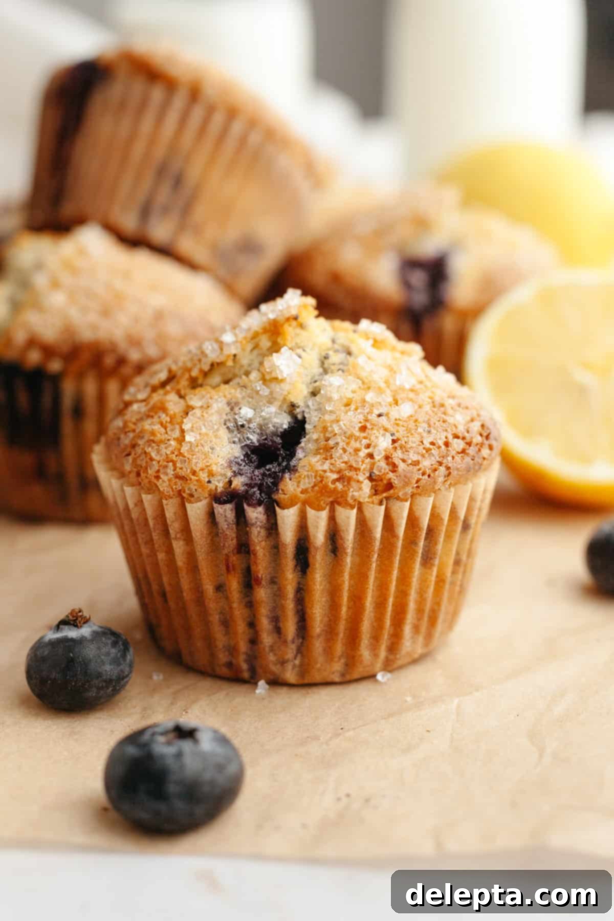 Sunny Lemon Blueberry Poppy Seed Muffins One Bowl Delight 9 A close up of a single lemon blueberry poppy seed muffin, highlighting its moist interior and golden crust.