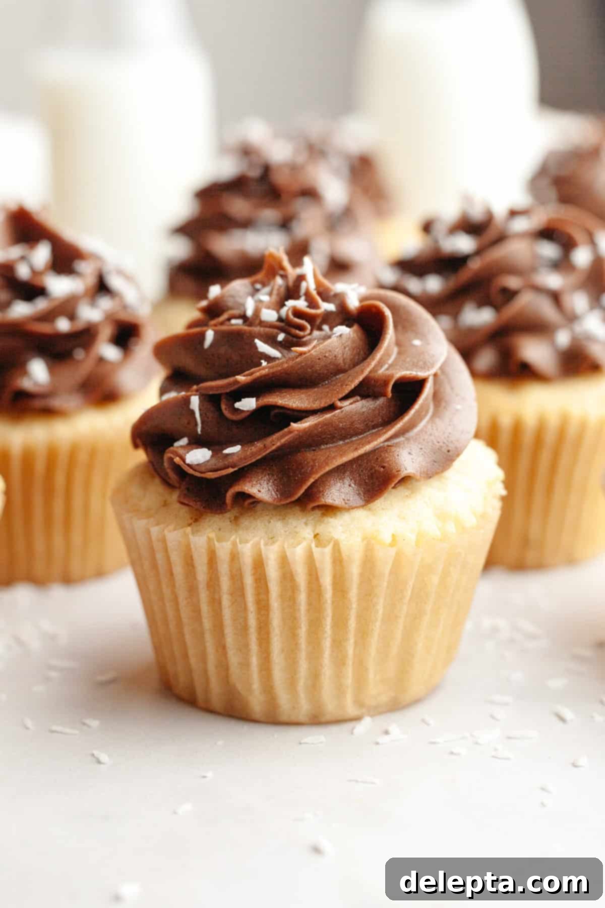 Double Chocolate Coconut Indulgence 11 Coconut cupcakes with chocolate frosting, sprinkled with shredded coconut.