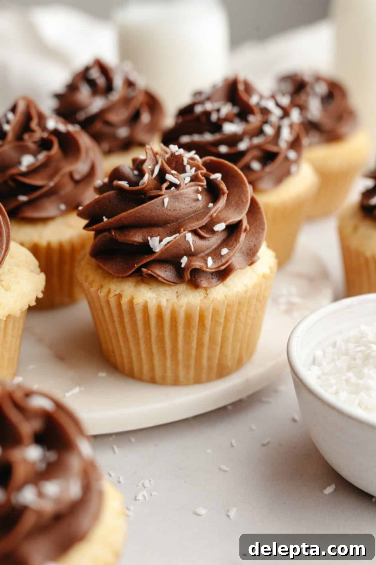 Double Chocolate Coconut Indulgence 10 Coconut cupcakes with chocolate frosting, sprinkled with shredded coconut.