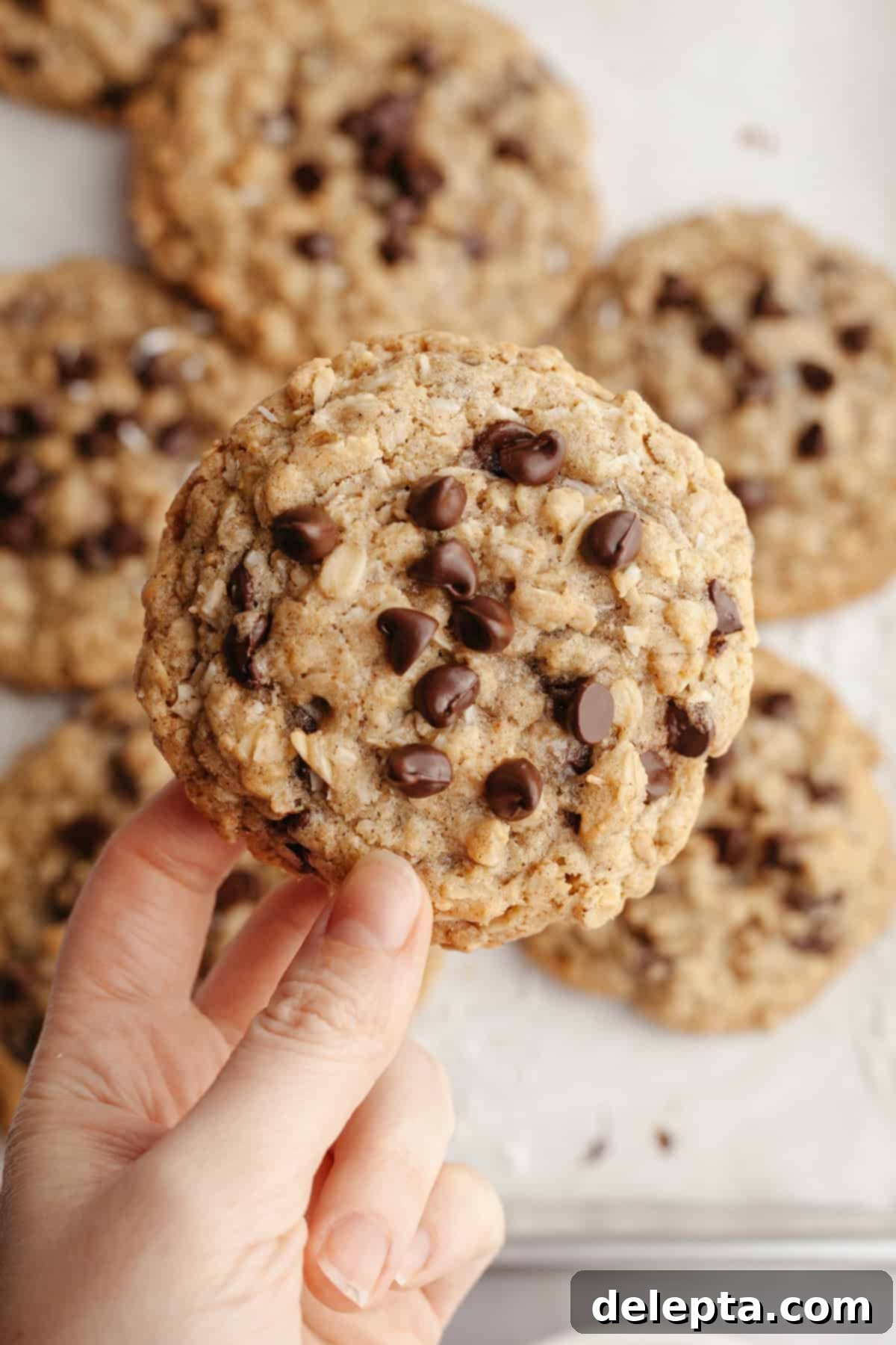 Brown Butter Oatmeal Cookies with Chocolate Chips and Coconut 11 A hand gently holding a warm, perfectly baked coconut chocolate chip oatmeal cookie, highlighting its texture and inviting appearance.