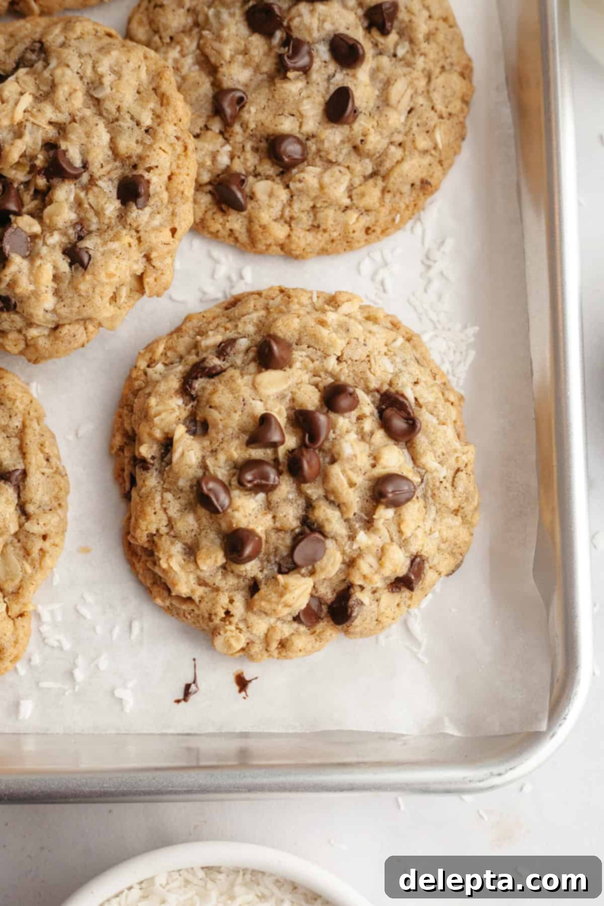 Brown Butter Oatmeal Cookies with Chocolate Chips and Coconut 9 Freshly baked coconut chocolate chip oatmeal cookies cooling on a baking sheet, with golden edges.