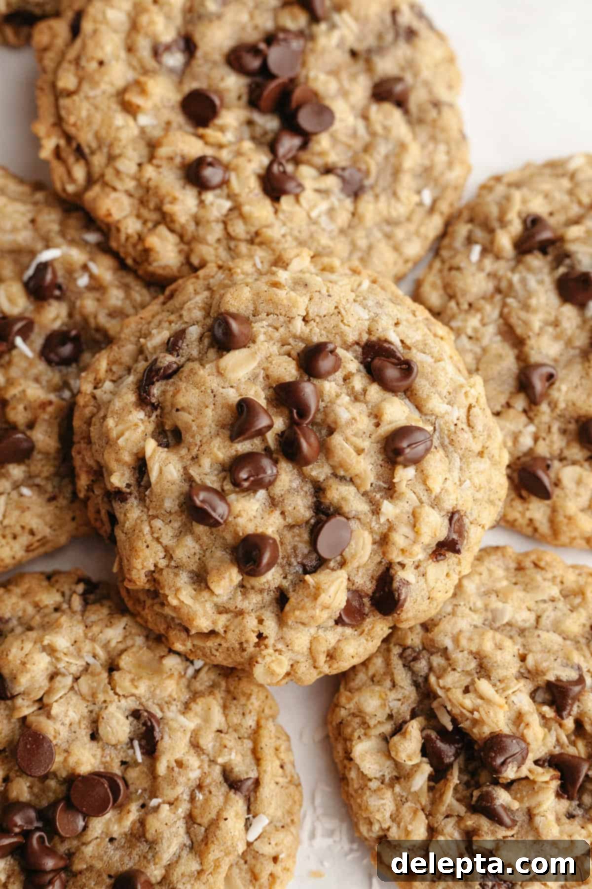 Brown Butter Oatmeal Cookies with Chocolate Chips and Coconut 10 A close up of warm, chewy coconut chocolate chip oatmeal cookies on parchment paper, ready to be devoured.