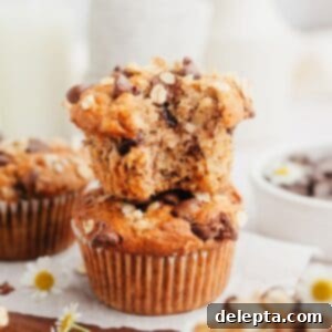 Wholesome Banana Oat Chocolate Chip Muffins 8 Two stacked oatmeal banana chocolate chip muffins, the top muffin has a bite taken out of it.
