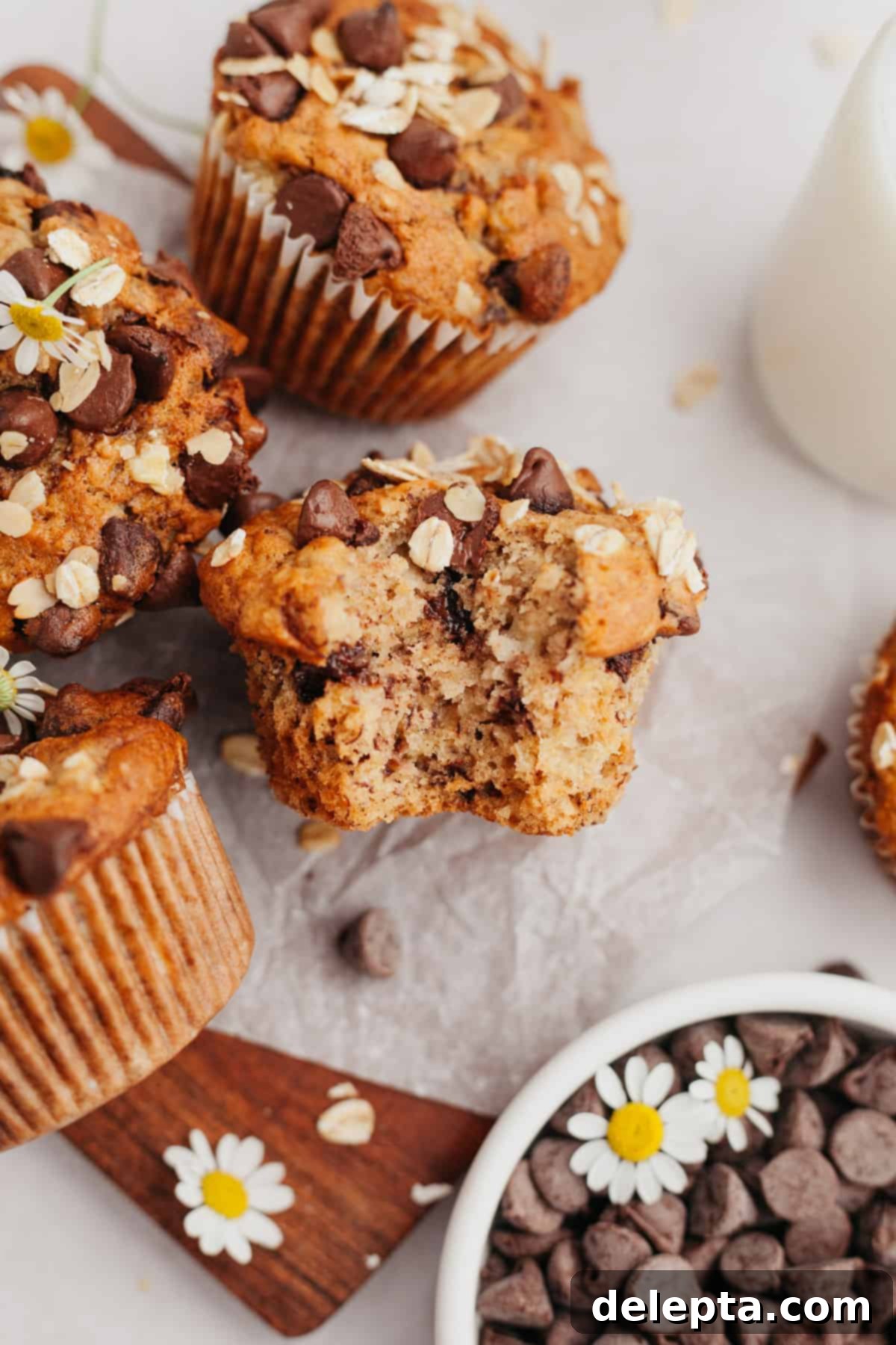 Wholesome Banana Oat Chocolate Chip Muffins 6 A close-up shot of a single, freshly baked oatmeal banana chocolate chip muffin with a bite taken out, showing its soft interior and melted chocolate.