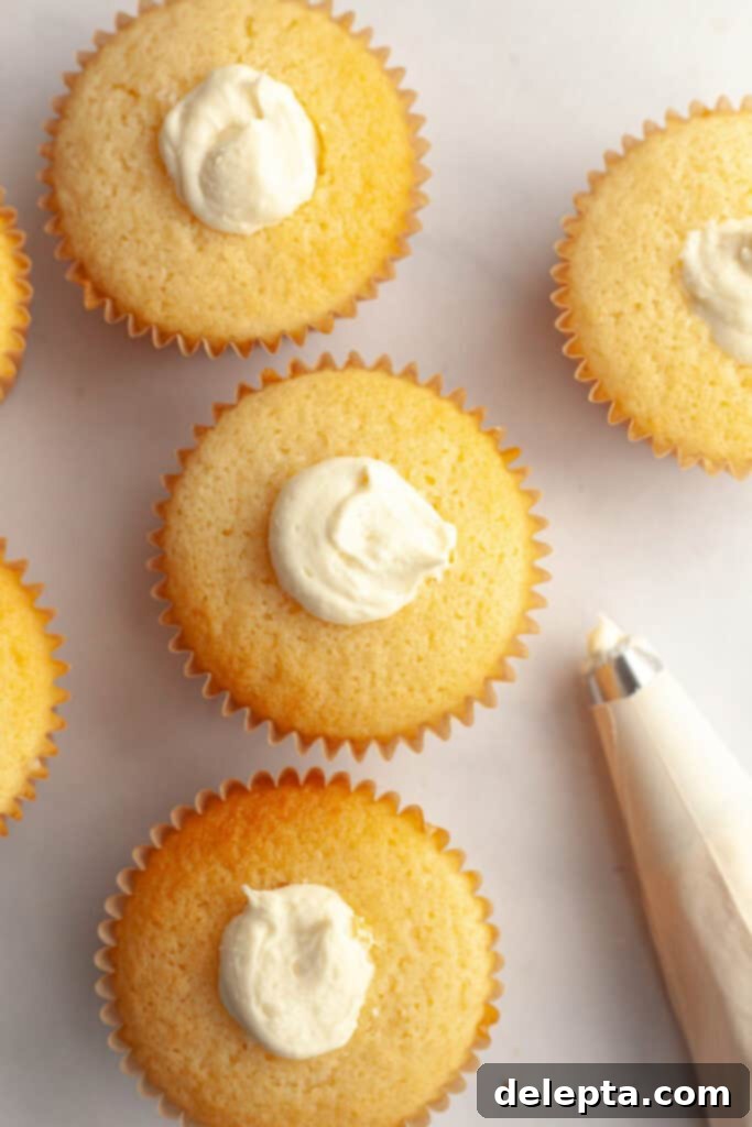 Decadent Raspberry White Chocolate Ganache Cupcakes 10 Vanilla cupcakes filled with white chocolate ganache.