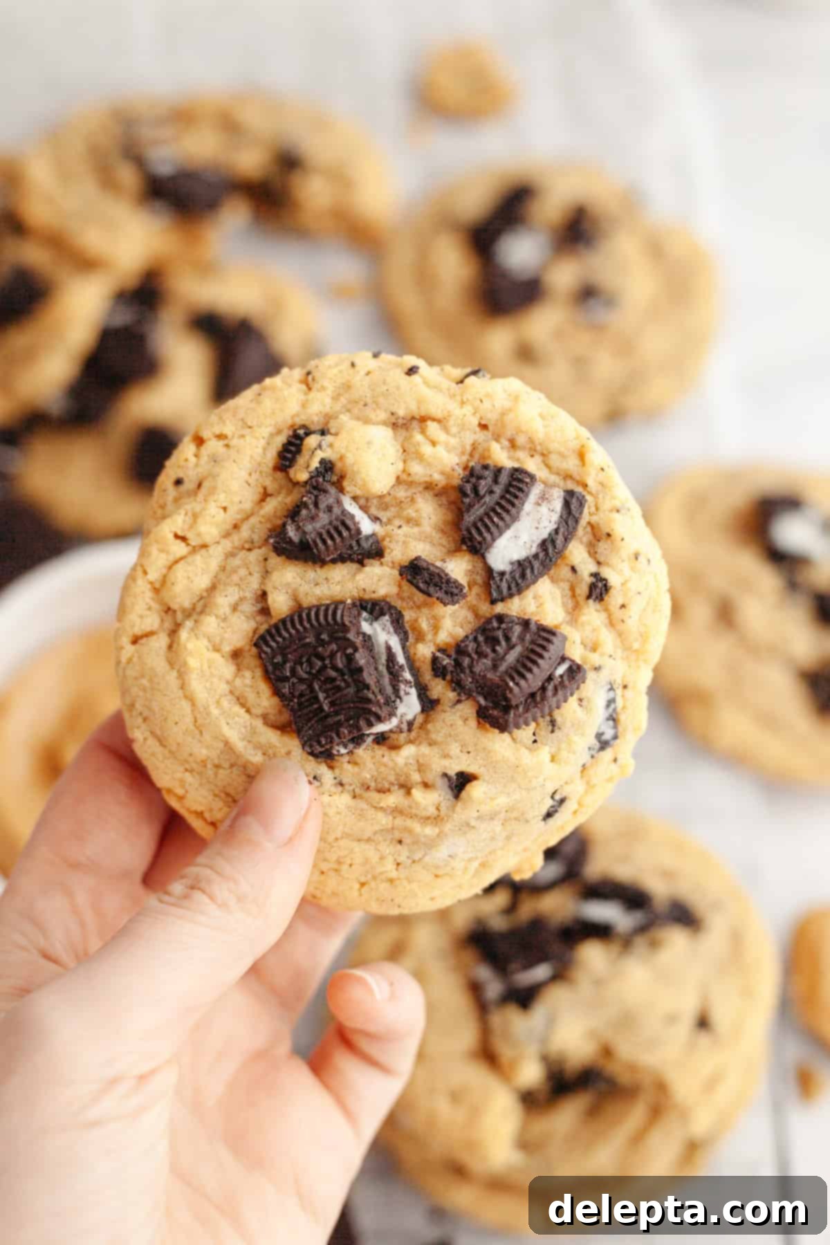 One Bowl Brown Butter Peanut Butter Oreo Perfection 11 A hand holding an Oreo peanut butter brown butter cookie.