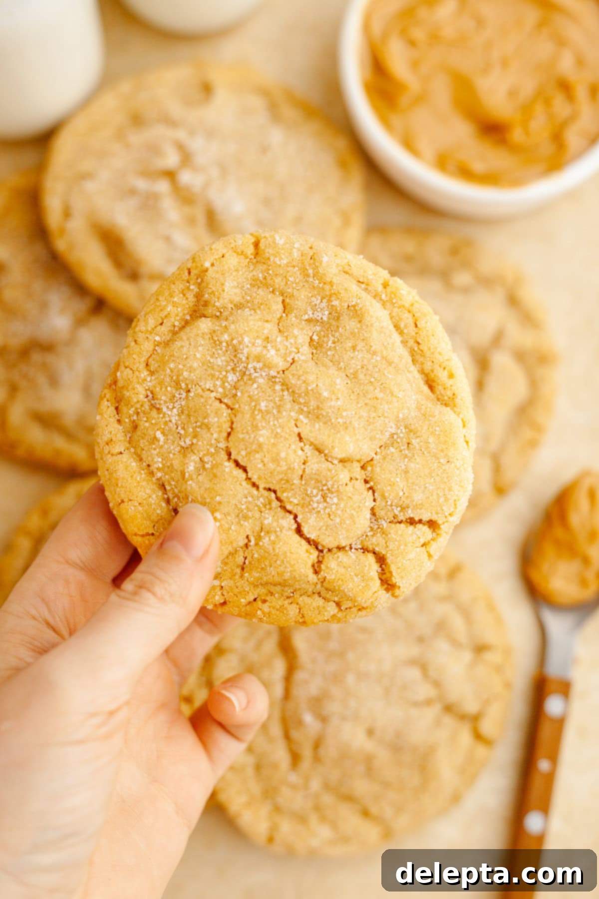 Golden Brown Butter Peanut Butter Cookies Ready Now 10 A hand carefully holding a freshly baked, glistening peanut butter cookie, covered in sparkling granulated sugar.