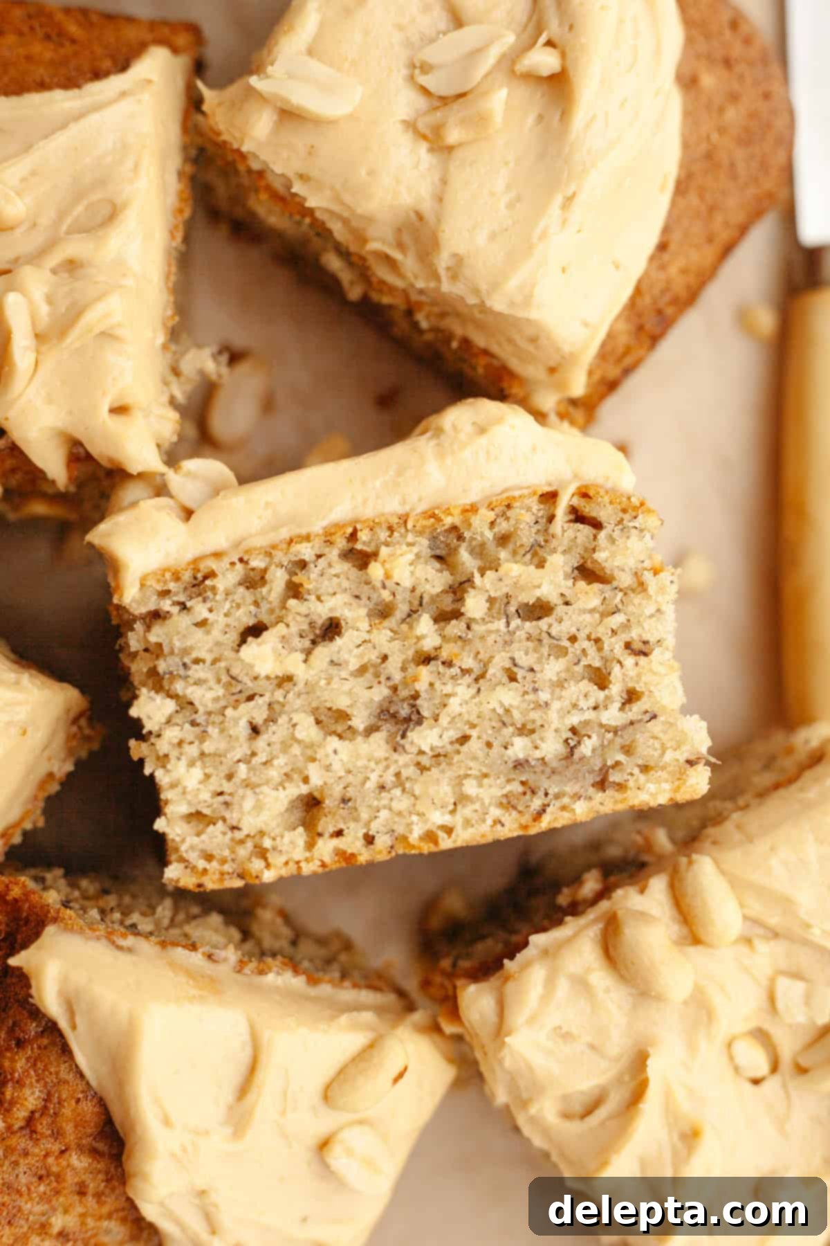 Banana Peanut Butter Bliss 2 Square slices of moist banana cake generously topped with luscious peanut butter frosting and a sprinkle of salted peanuts.