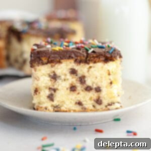 Double Chocolate Chip Sheet Cake 12 A slice of chocolate chip sheet cake with chocolate frosting on a small plate.