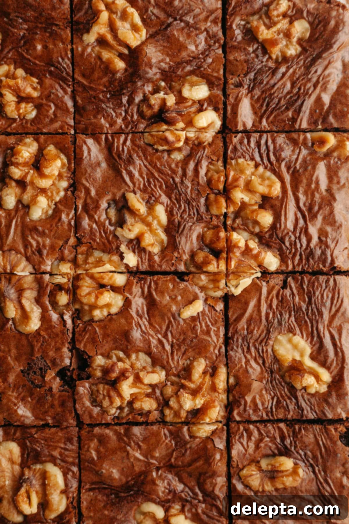 One Bowl Wonder Fudgy Walnut Brownies 8 An overhead shot of sliced walnut brownies.