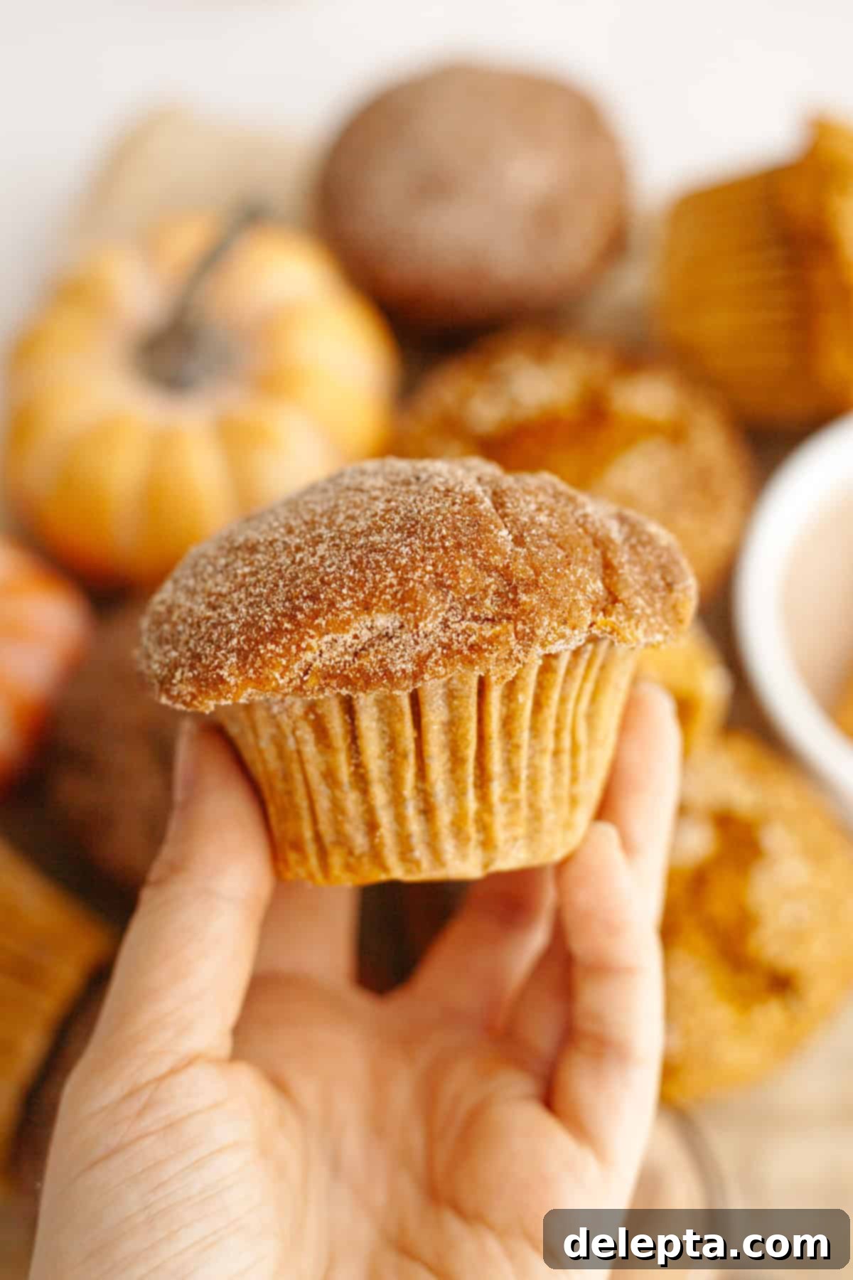 One-Bowl Pumpkin Sour Cream Muffins 2 A hand holding a perfectly baked pumpkin sour cream muffin topped with a generous sprinkle of sparkling sugar, set against a warm autumn backdrop.