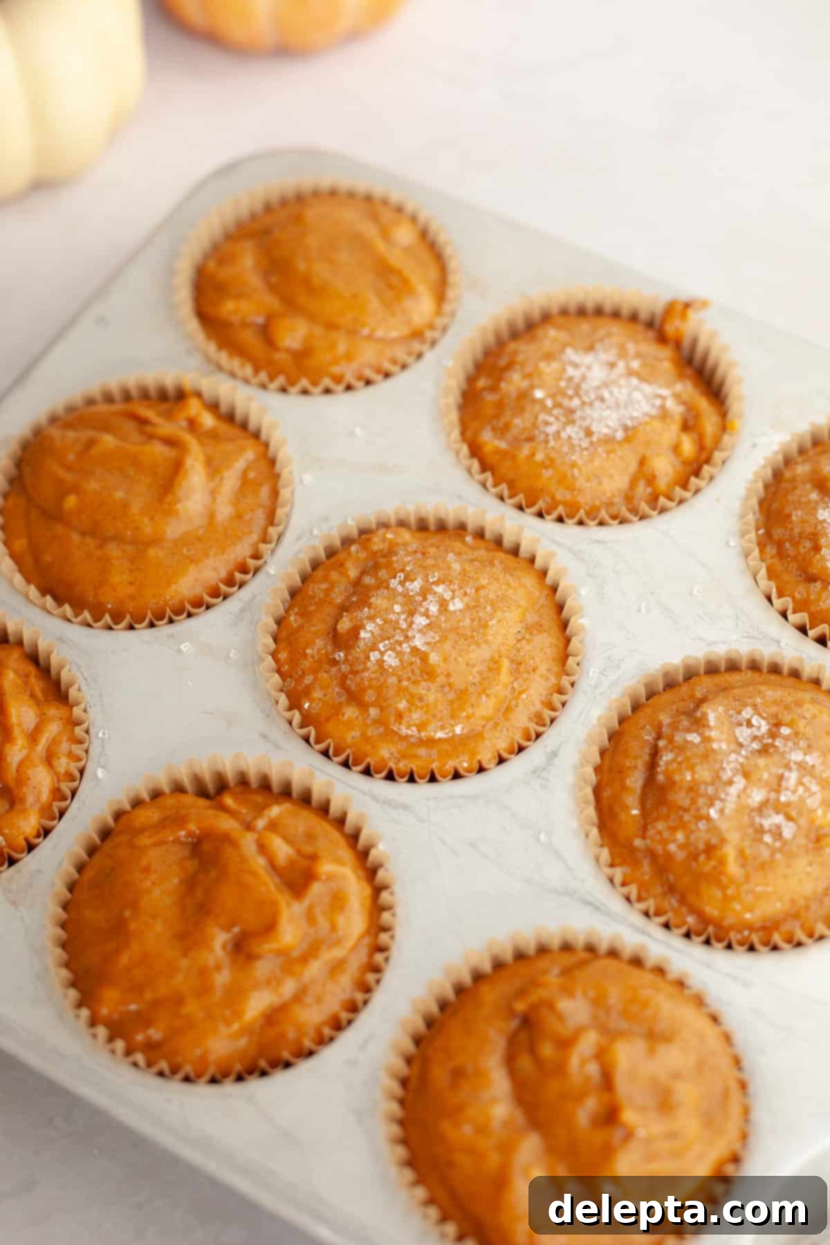 One-Bowl Pumpkin Sour Cream Muffins 6 Unbaked pumpkin muffins in a muffin pan, some already adorned with a sparkling sugar topping, anticipating their bake.