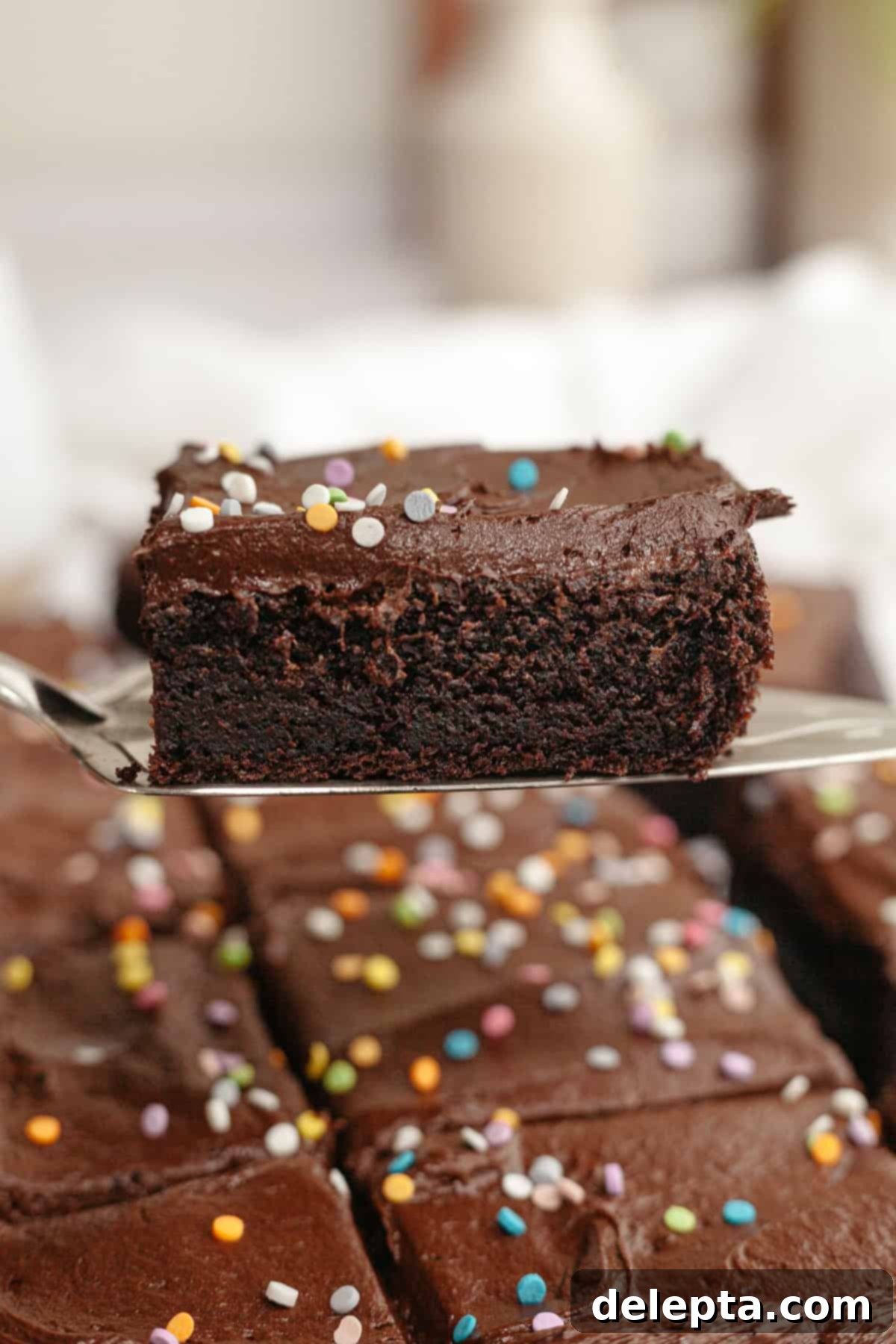 Easy Chocolate Sheet Cake 2 A slice of single layer chocolate cake on a cake server, showcasing its moist texture and rich frosting.