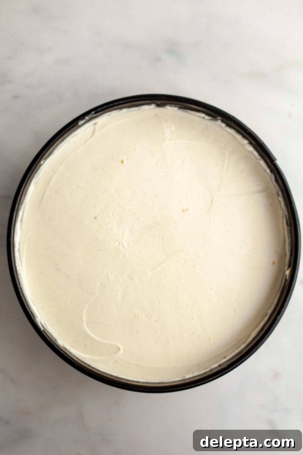 Gelatin-Free No-Bake Vanilla Cheesecake 8 A cheesecake pan with a no bake vanilla cheesecake.