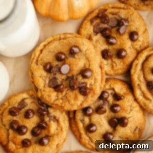 Nutty Brown Butter Pumpkin Chocolate Chip Cookies 12 Brown butter pumpkin chocolate chip cookies on brown parchment paper.