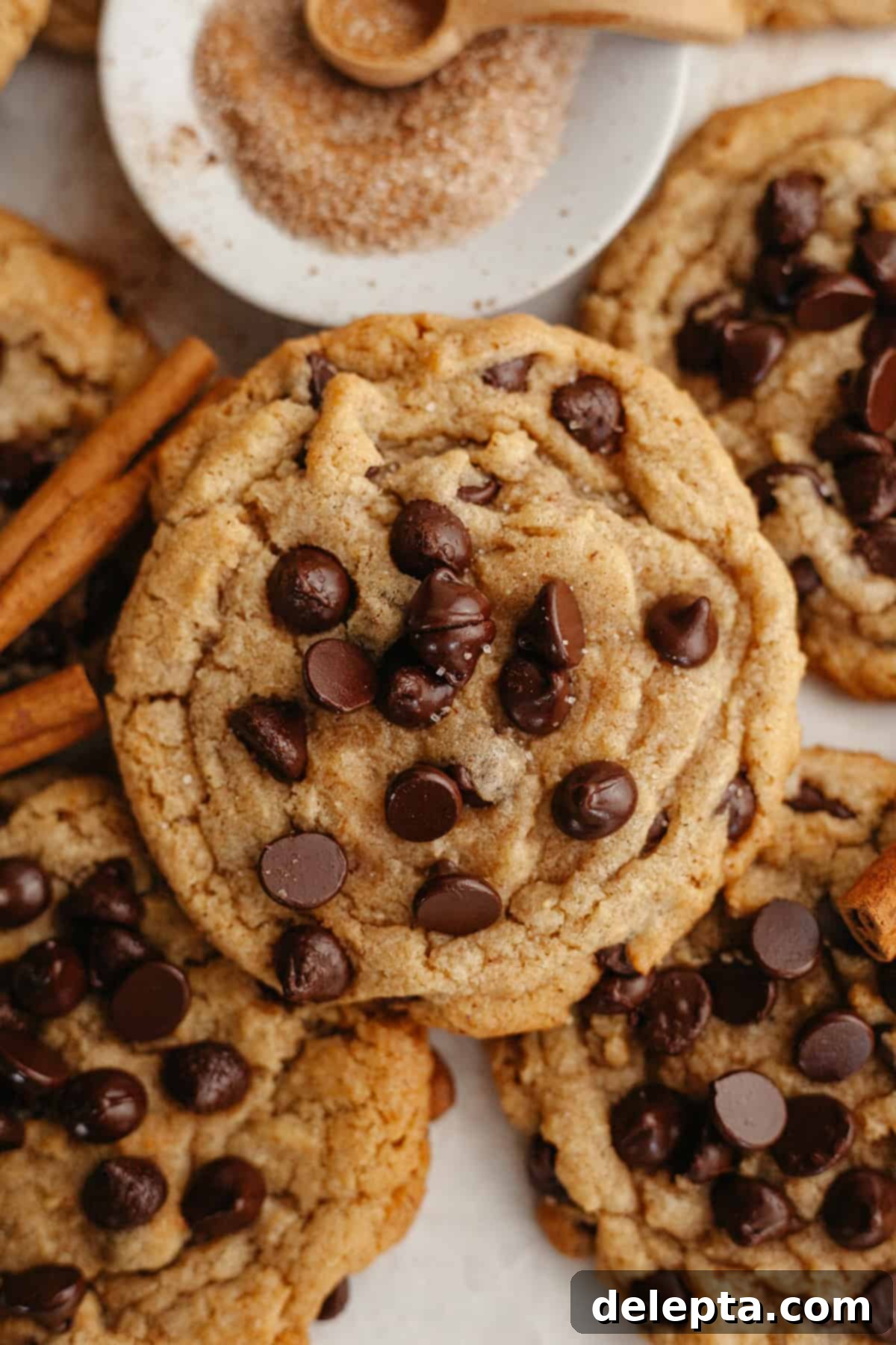 Nutty Brown Butter Chocolate Chip Cinnamon Cookies 2 A close up of a perfectly baked brown butter chocolate chip cinnamon cookie, showcasing its golden edges and melty chocolate.