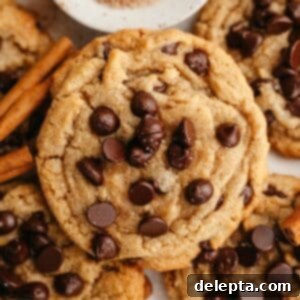 Nutty Brown Butter Chocolate Chip Cinnamon Cookies 12 A close up of a chocolate chip cookie.