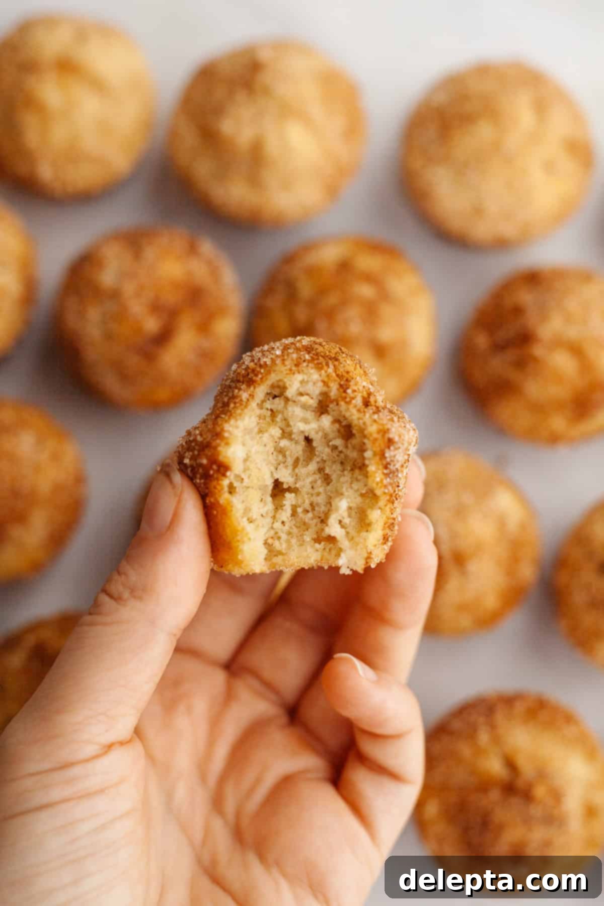 Bite-Sized Cinnamon Bliss 9 A hand holding a cinnamon mini muffin which has a bite taken out of it.