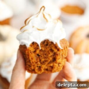 Fluffy Marshmallow Meringue Frosting 8 A hand holding a pumpkin cupcake with perfectly toasted marshmallow frosting, ready to be devoured.