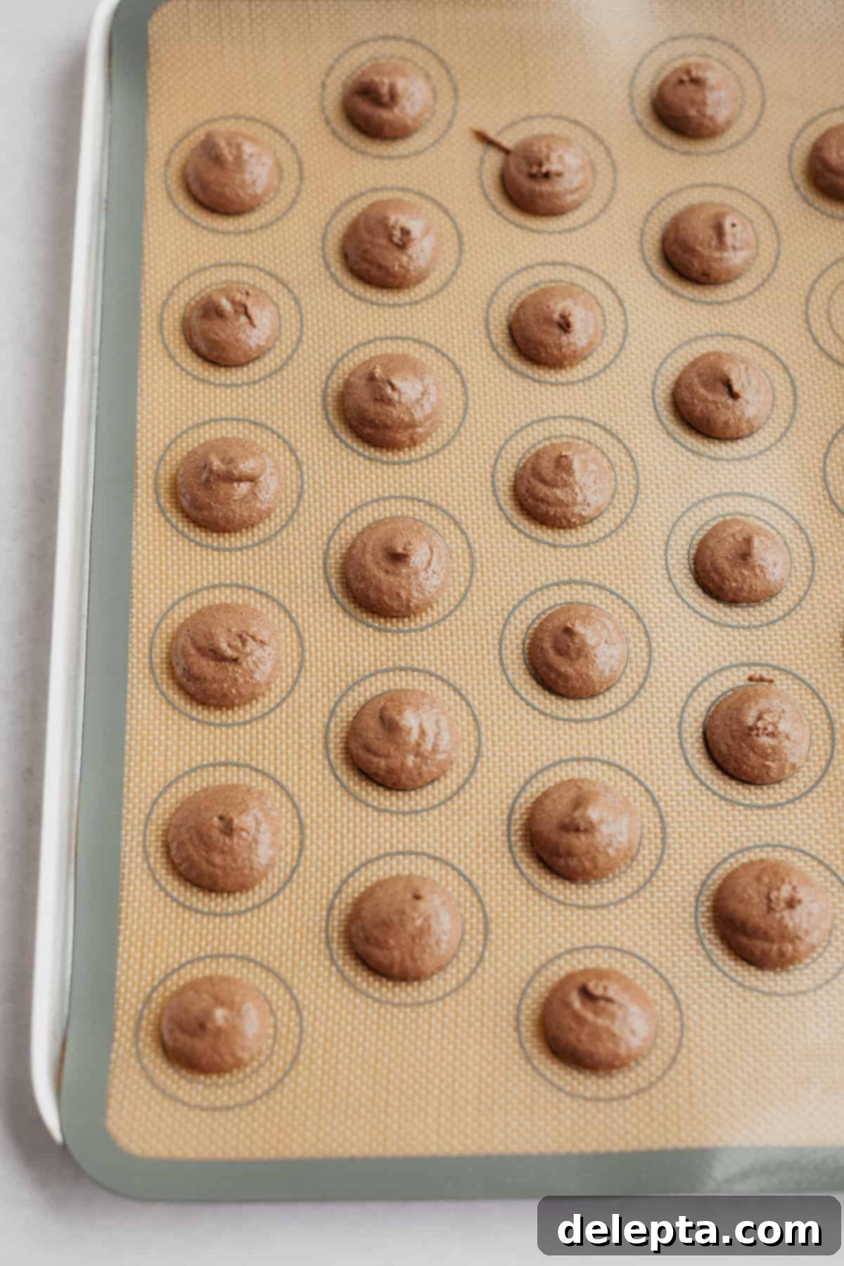 Decadent Nutella Macarons 9 A baking tray filled with perfectly piped, unbaked macaron shells, ready for resting