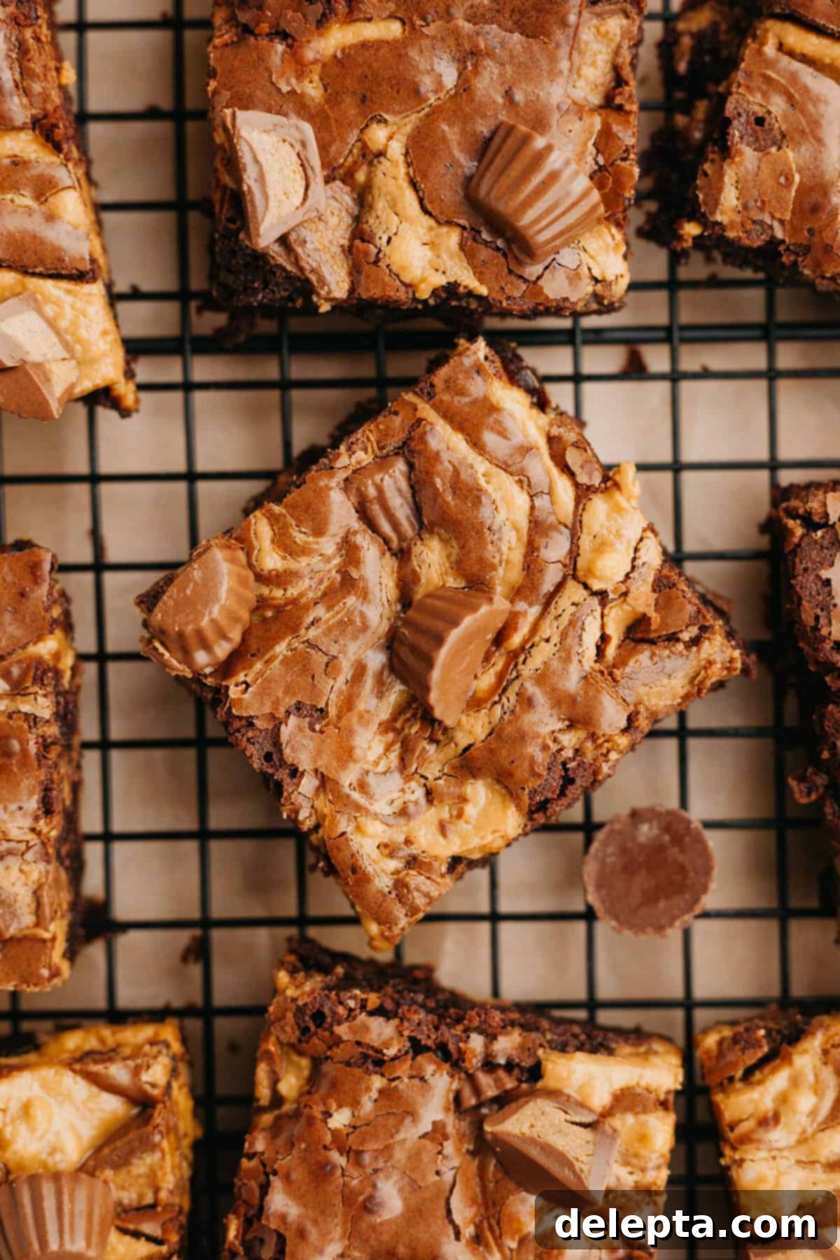 Peanut Butter Cup Brownie Bliss 2 An overhead shot of extra fudgy brownies with peanut butter cups on a wire cooling rack, showcasing their crackly tops and delicious swirls.