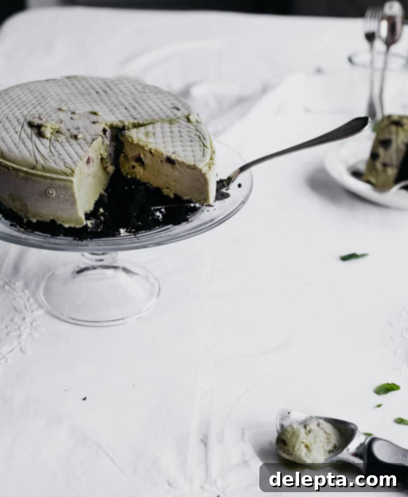 Irresistible Homemade Mint Chocolate Chip Ice Cream Cake 3 Mint chip ice cream cake with one slice taken out, revealing the creamy texture and chocolate pieces.